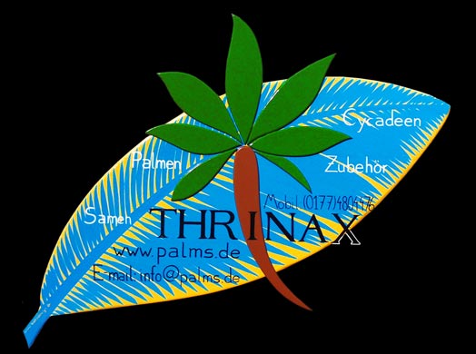 Thrinax